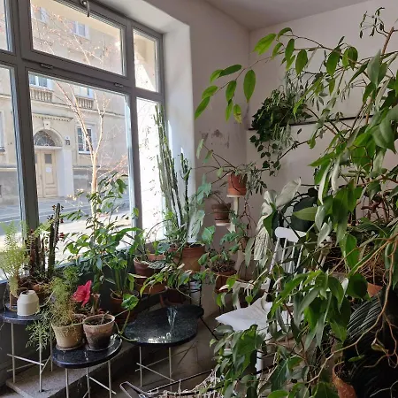 My * Poznań